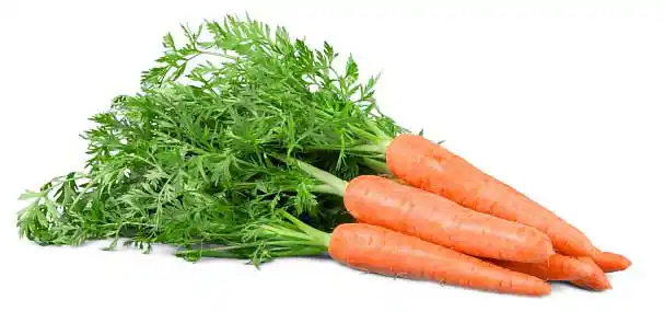 four raw carrots =
